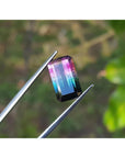 A brazilian watermelon tourmaline held between tweezers with a natural background.