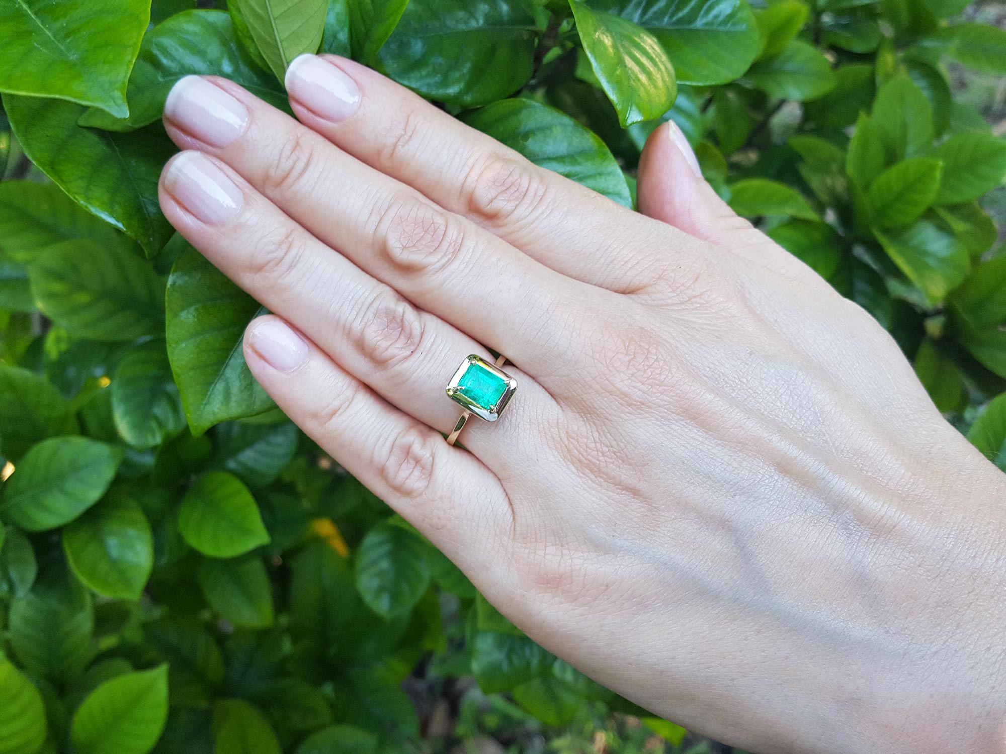 A hand wearing an emerald solitaire ring yellow gold against a green leafy background.