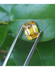 3.75 ct. vivid yellow emerald-cut sapphire held by tweezers against green leaves.