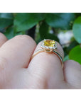 Gold ring with a yellow sapphire gemstone on a hand against a green leafy background