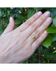 Hand wearing a ring with a yellow sapphire against a green leafy background