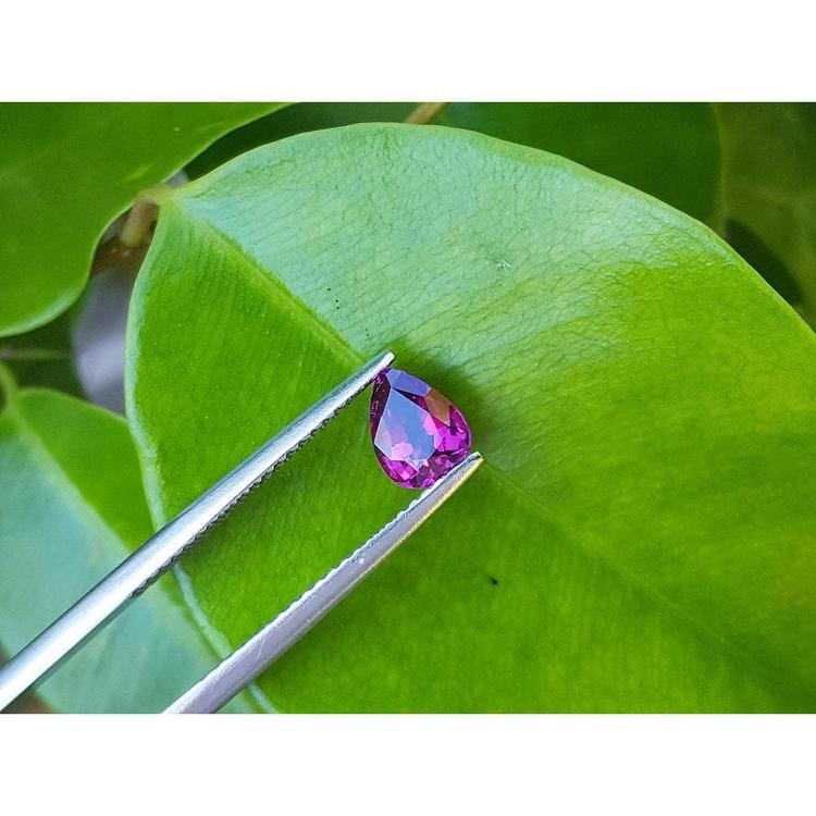 Natural loose ruby pear shaped, front side gemstone held by tweezers on a green leaf