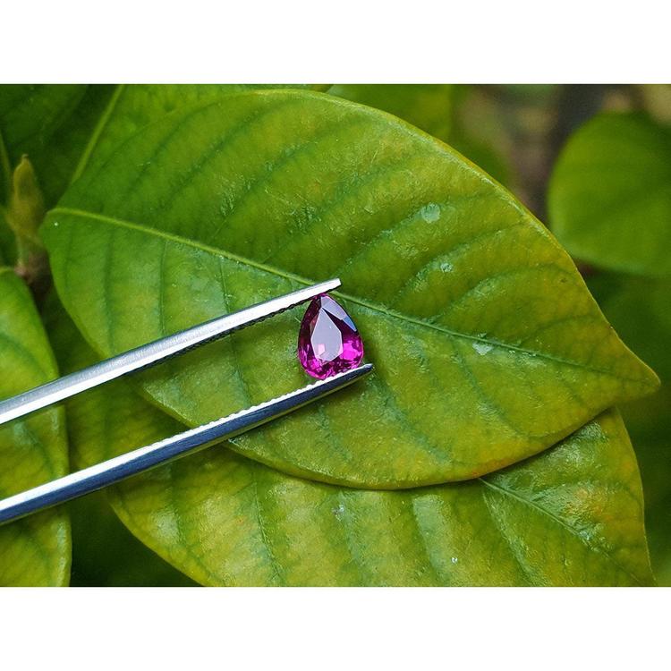 Natural loose ruby pear shaped high quality front side table and crown view on a green leaf with tweezers