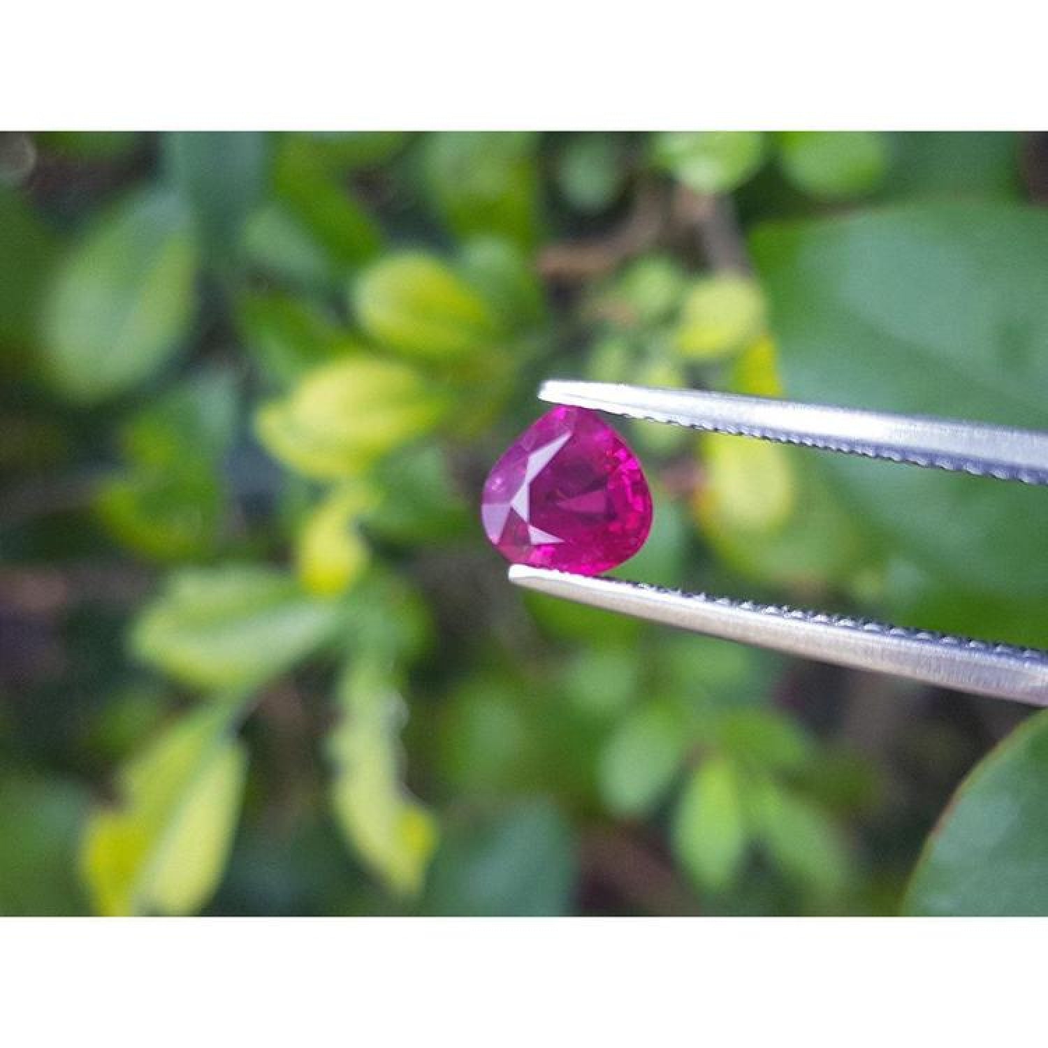 1.19 carat pear cut natural ruby gemstone, sparkling red, held by tweezers against green foliage.