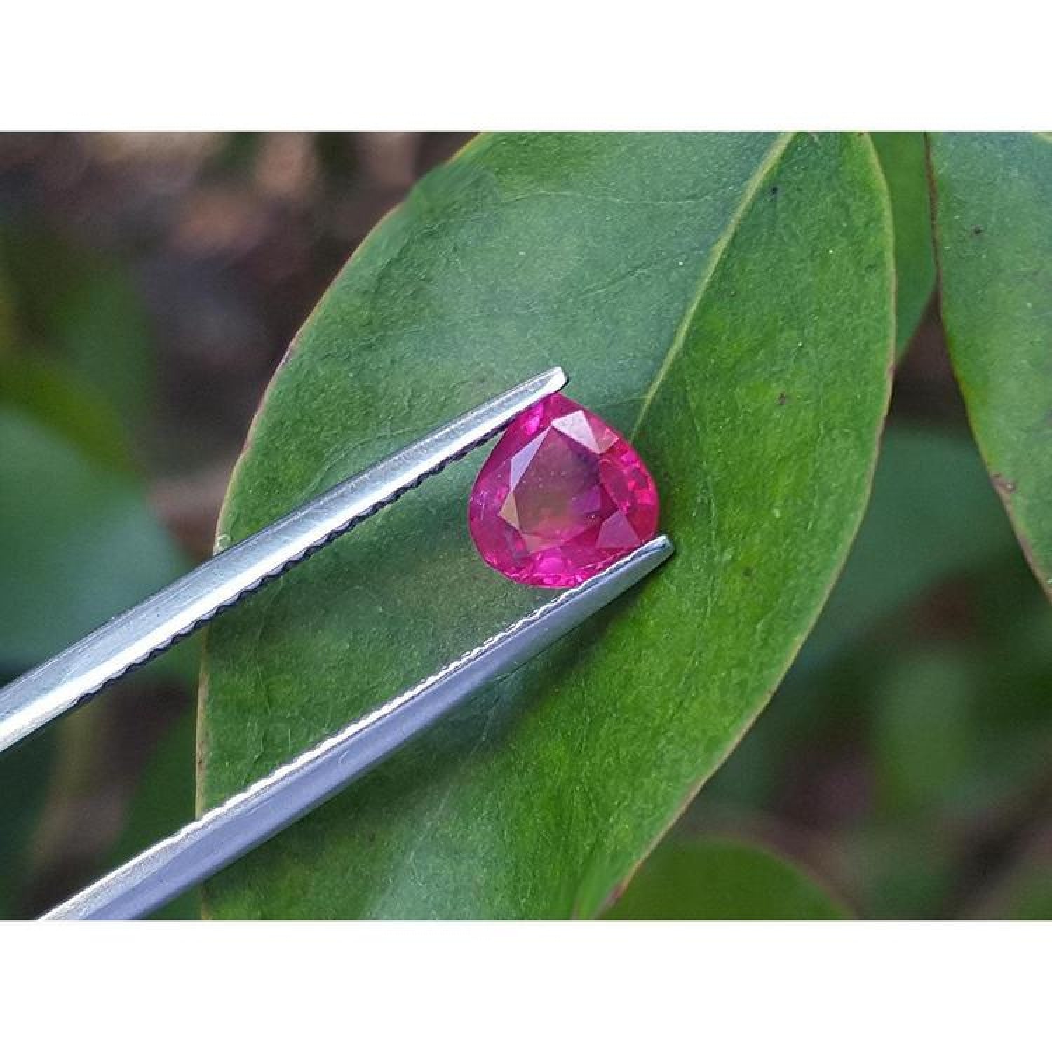 1.19 carat pear cut natural ruby gemstone, sparkling medium deep red, held by tweezers over a green leaf.