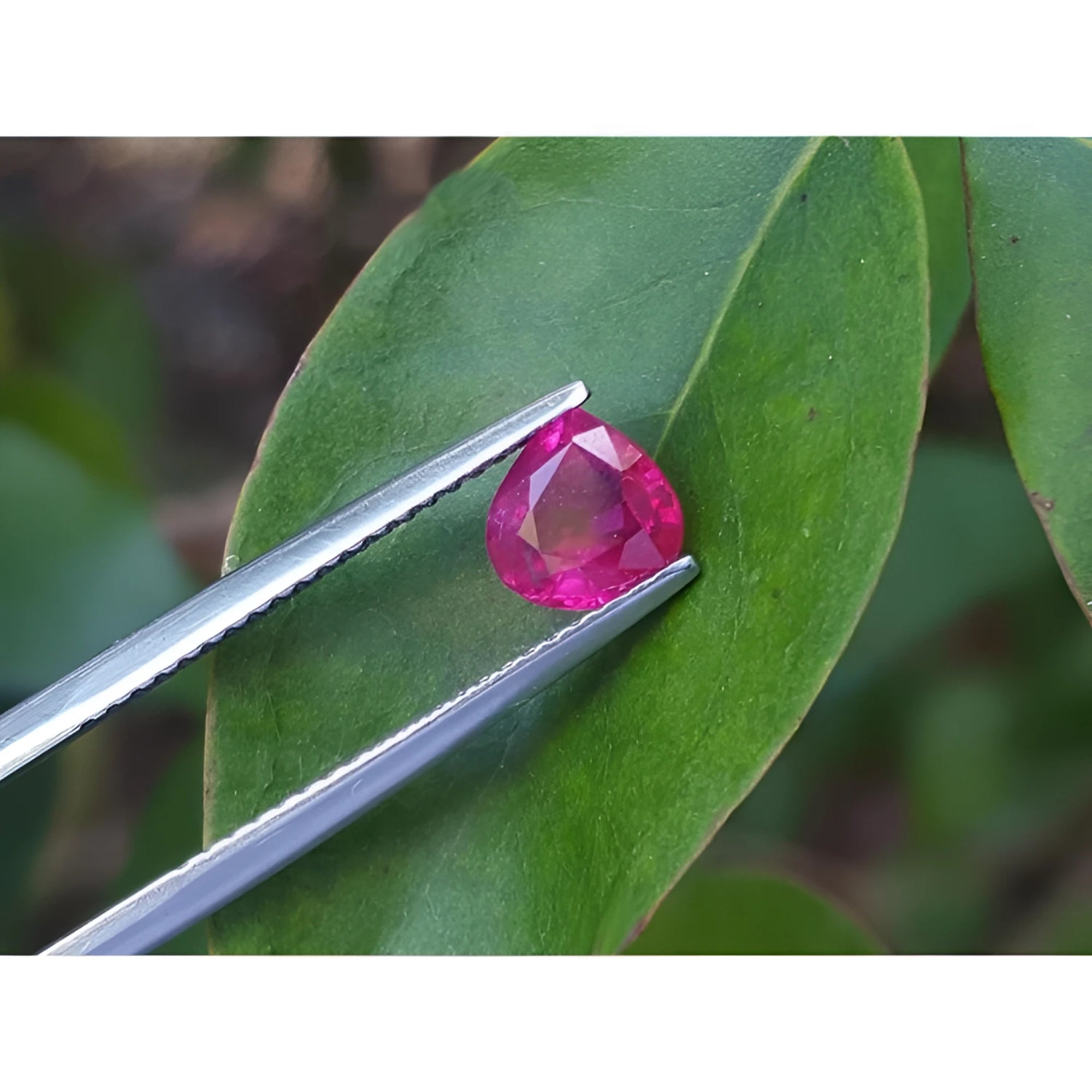 1.19 carat pear cut natural ruby gemstone, sparkling medium deep red, held by tweezers over a green leaf.