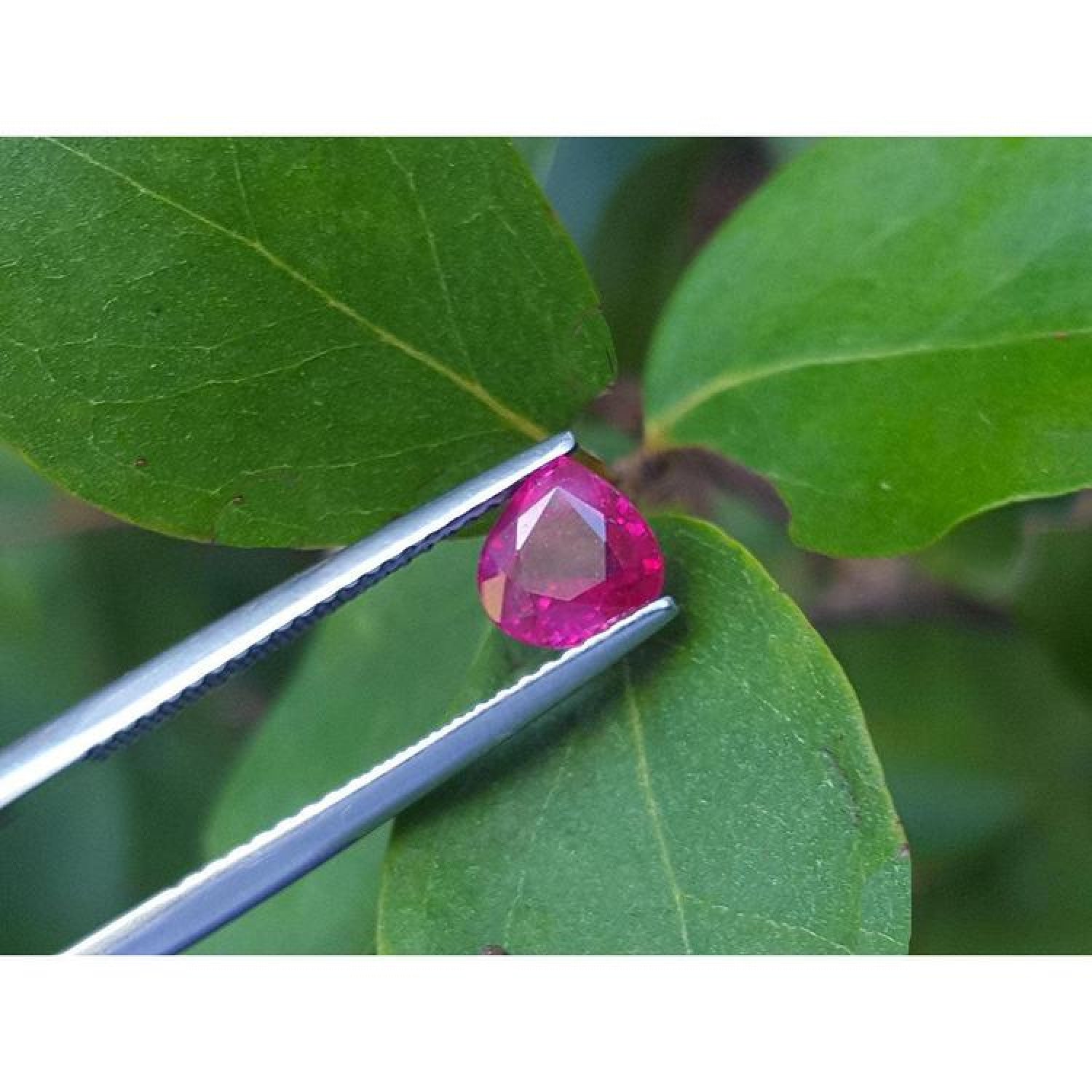 1.19 carat pear cut natural ruby gemstone, sparkling medium deep red, held by tweezers on green leaves.