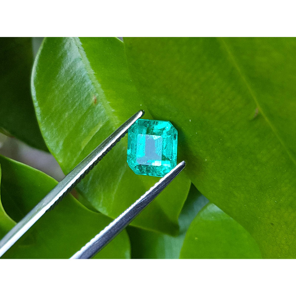 1.55 Carats Emerald-cut Muzo Colombian Loose Emerald