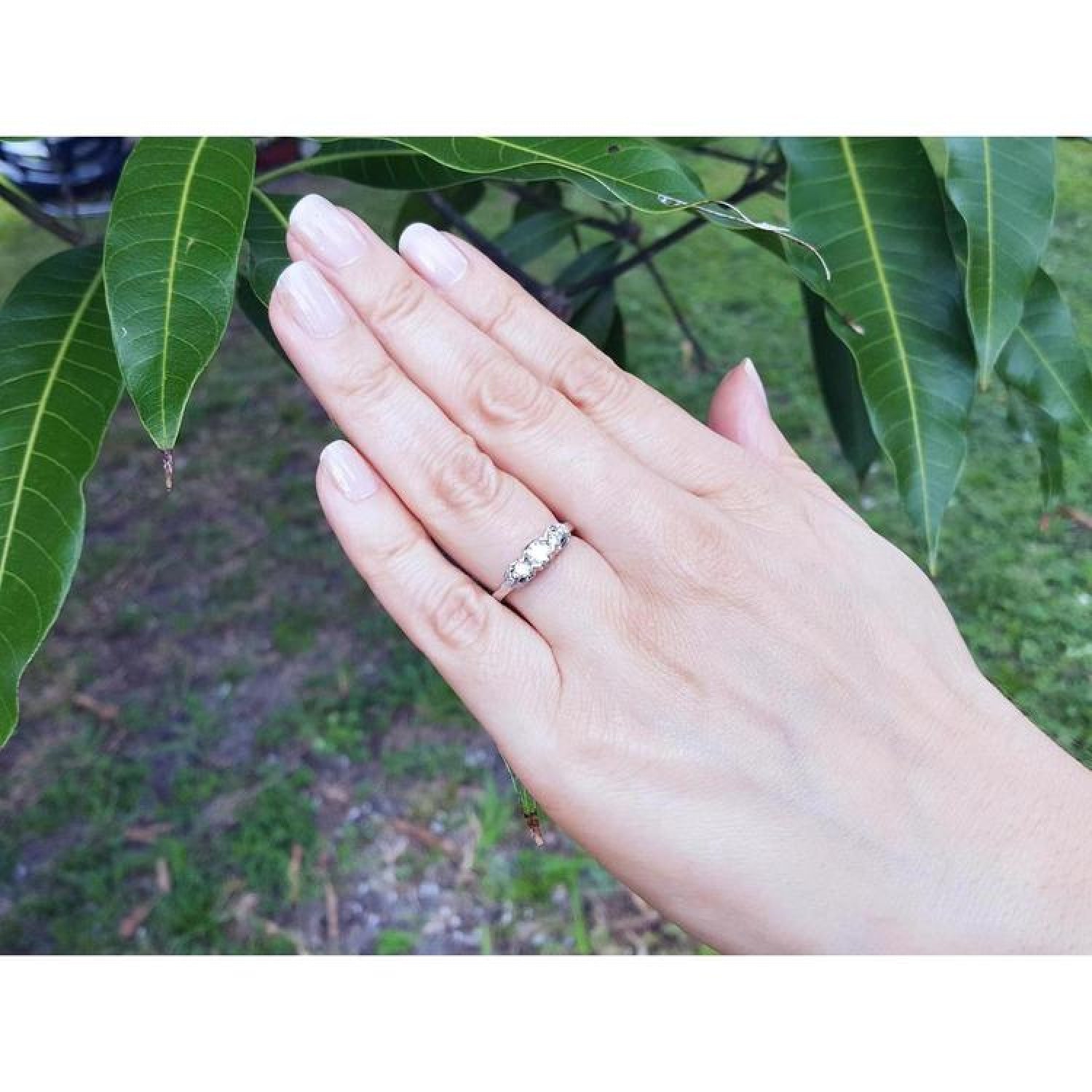 Round cut three-stone diamond engagement ring in 14K white gold on a hand, surrounded by green leaves.