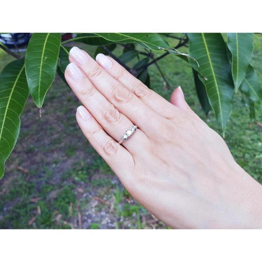 Round cut three-stone diamond engagement ring in 14K white gold on a hand, surrounded by green leaves.