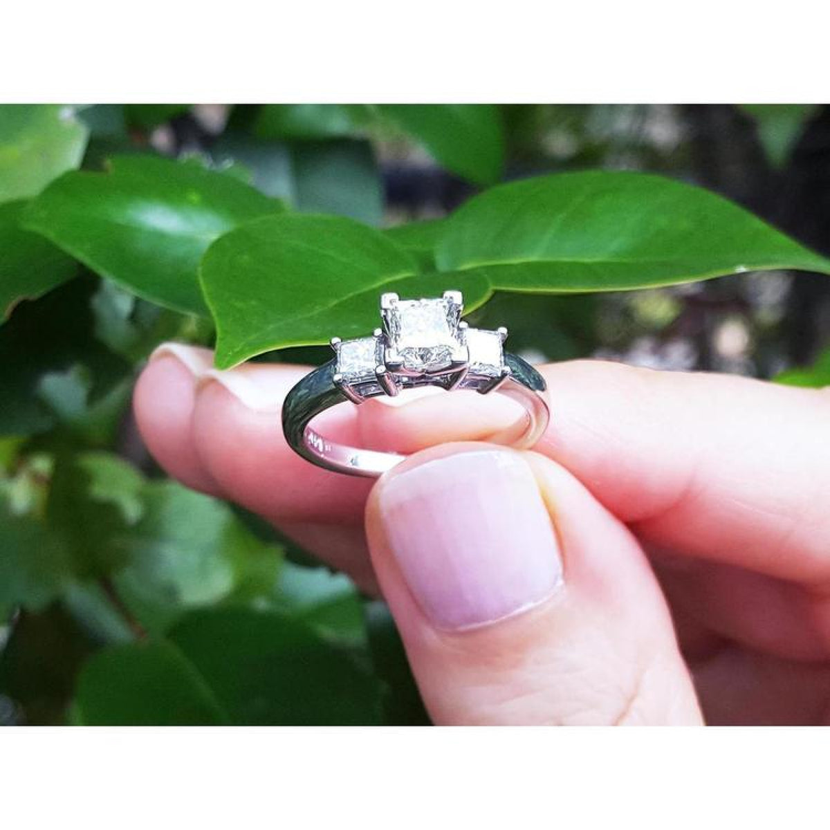 14K white gold three-stone princess cut diamond ring held by fingers with green leaves in background.