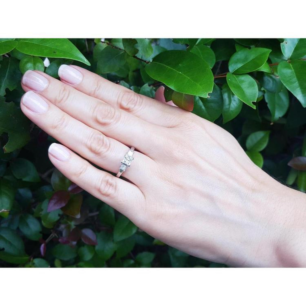 White gold 14K princess cut three-stone diamond ring on a hand, surrounded by green leaves.