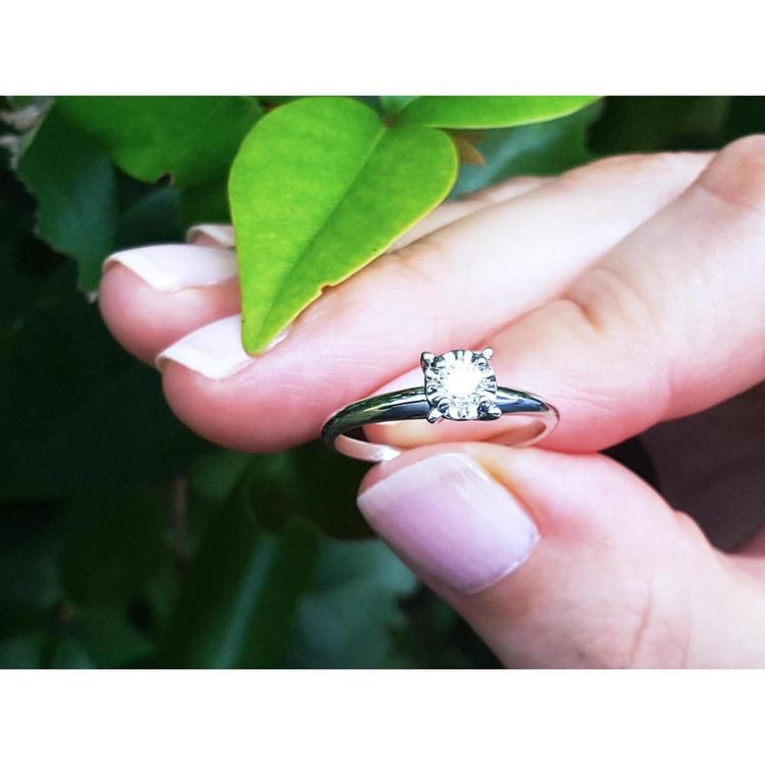 Round cut diamond solitaire engagement ring in 14K white gold, held by fingers with a green leaf.