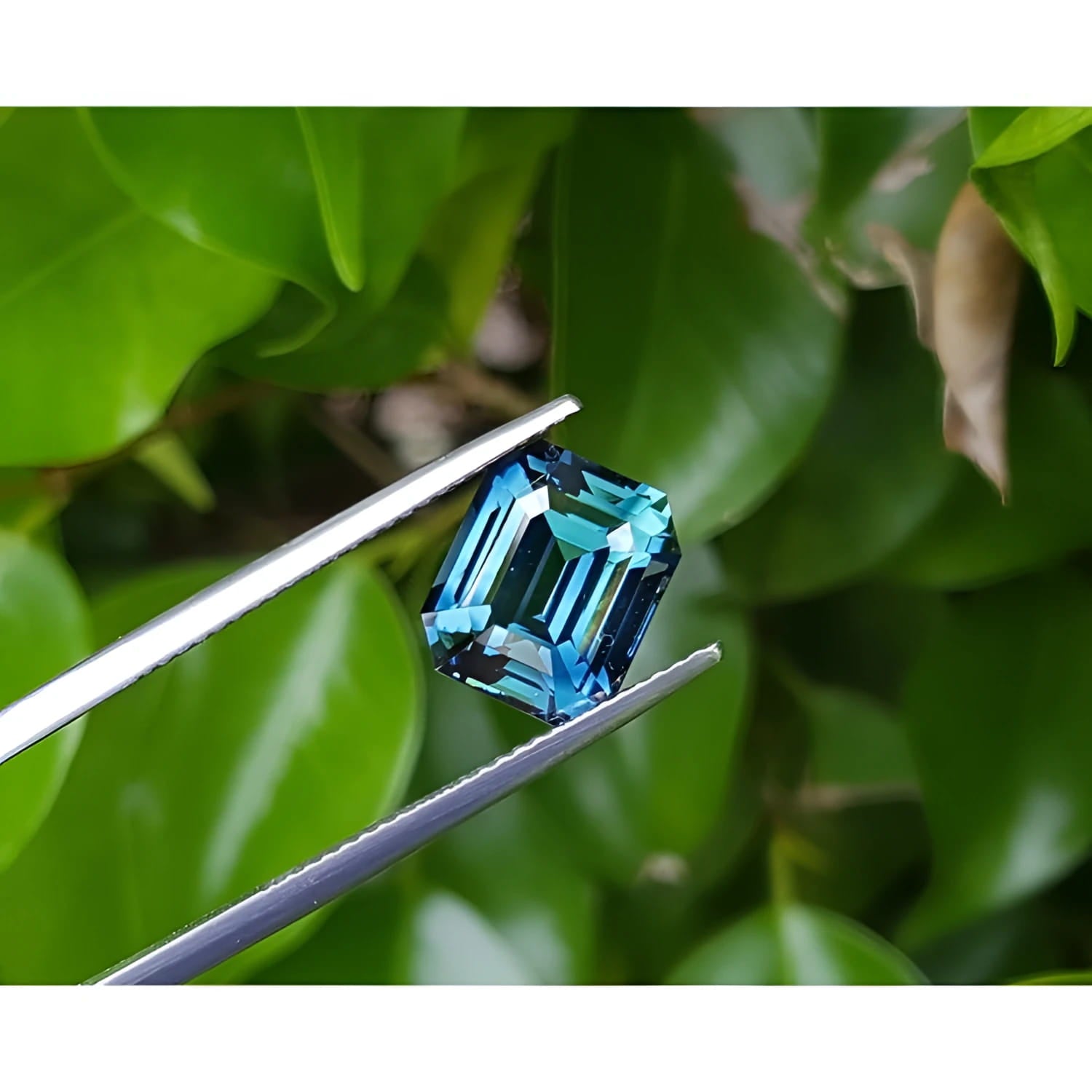 GIA certified 6.07 ct. rectangular emerald-cut blue-green sapphire held by tweezers against green leaves.