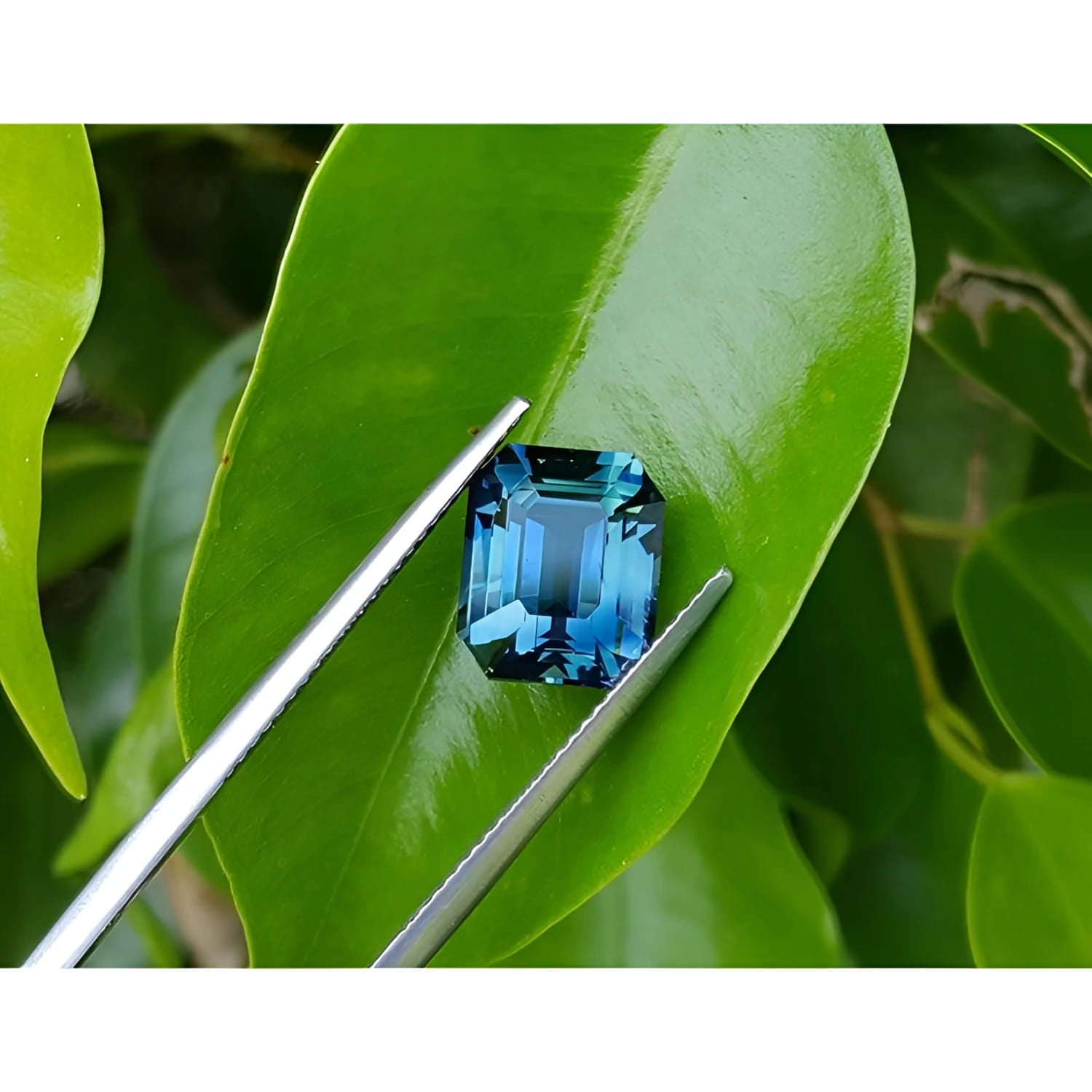 6.07 ct GIA certified natural untreated rectangular emerald-cut blue-green sapphire on a green leaf.