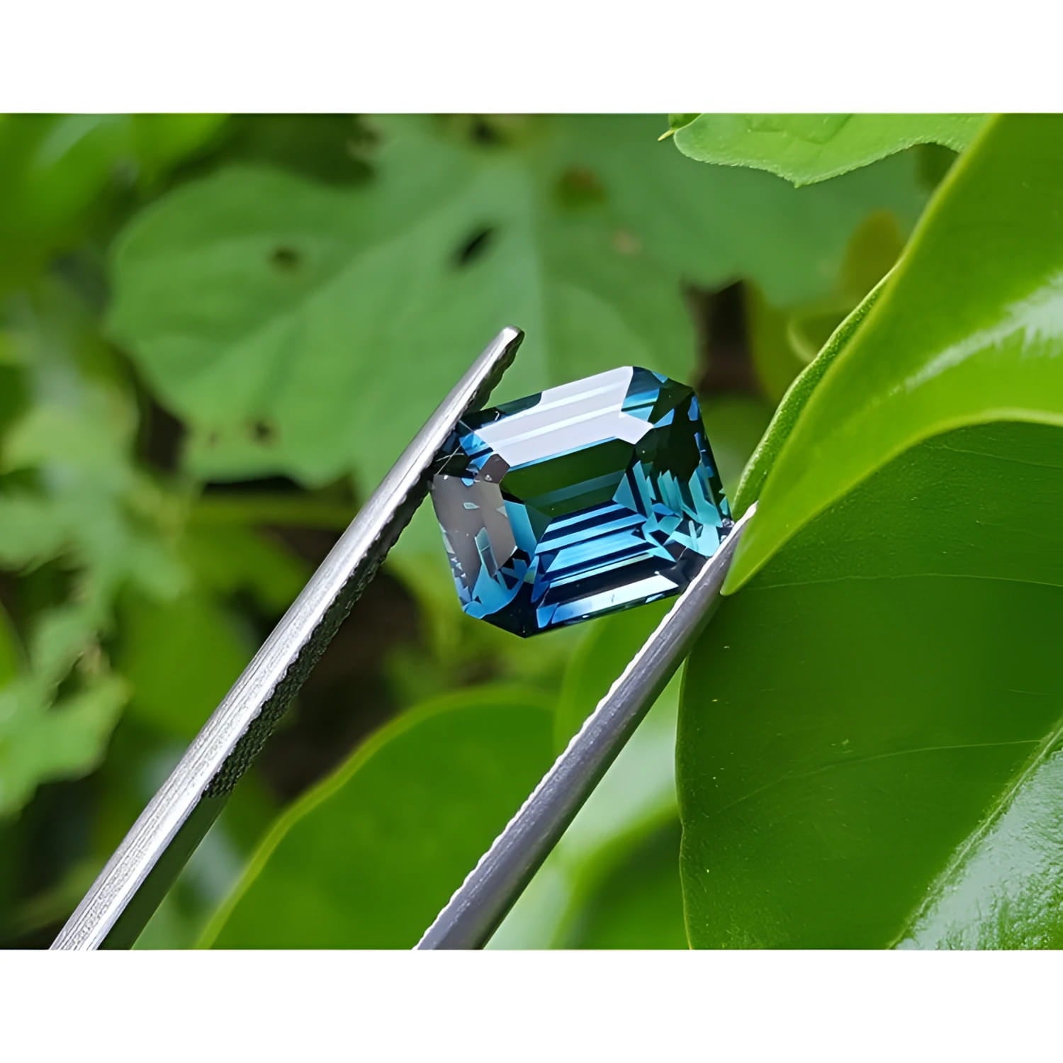 GIA certified 6.07 ct. rectangular emerald-cut blue-green sapphire held by tweezers against green leaves.
