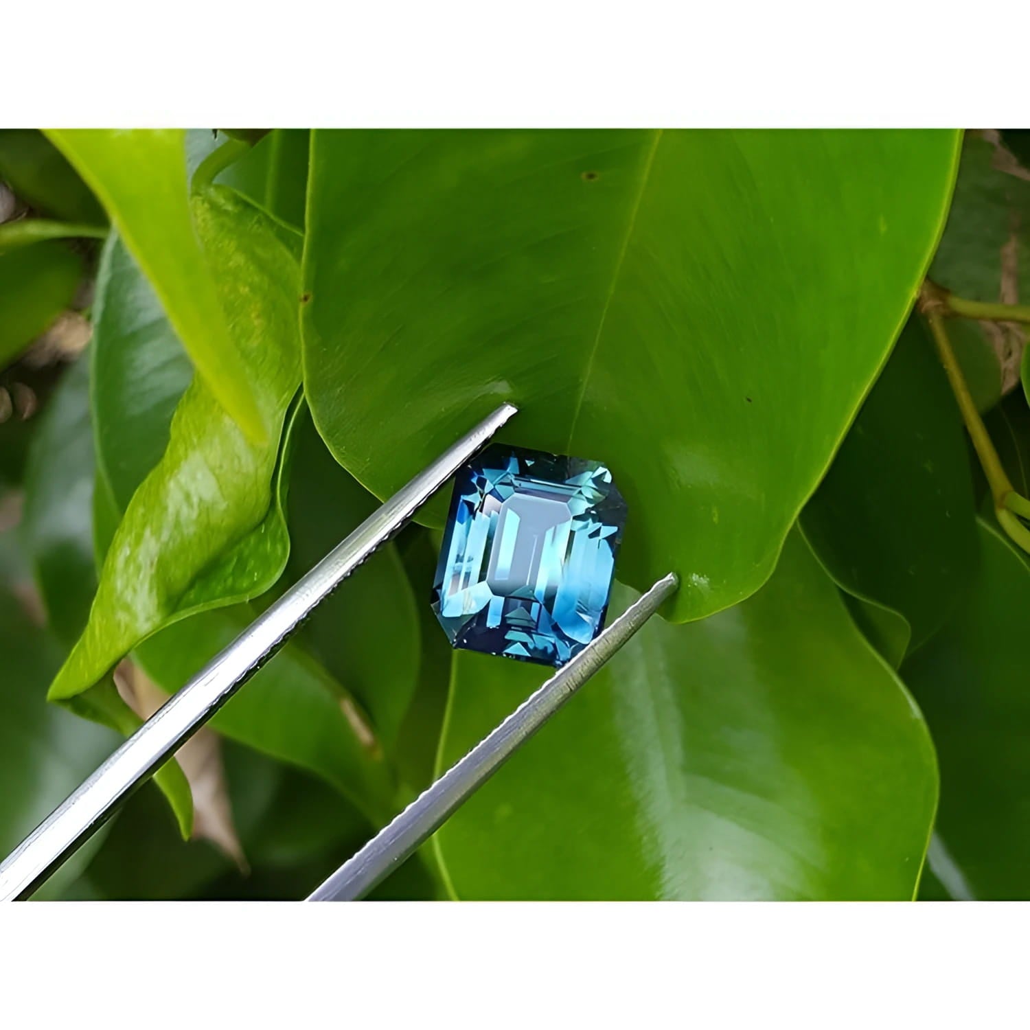 GIA certified 6.07 ct. rectangular emerald-cut blue-green sapphire held by tweezers on green leaves.