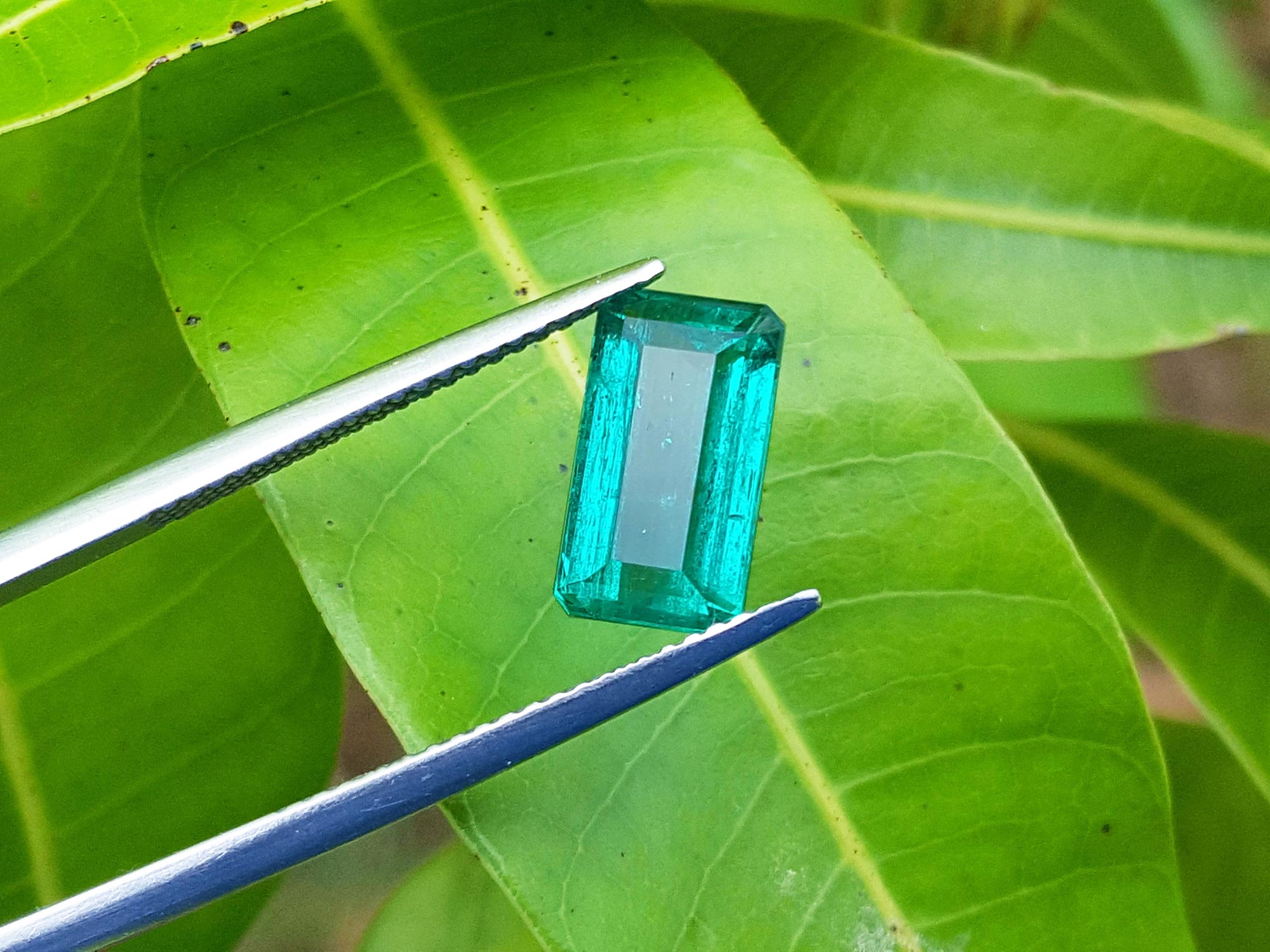 Loose Colombian emerald