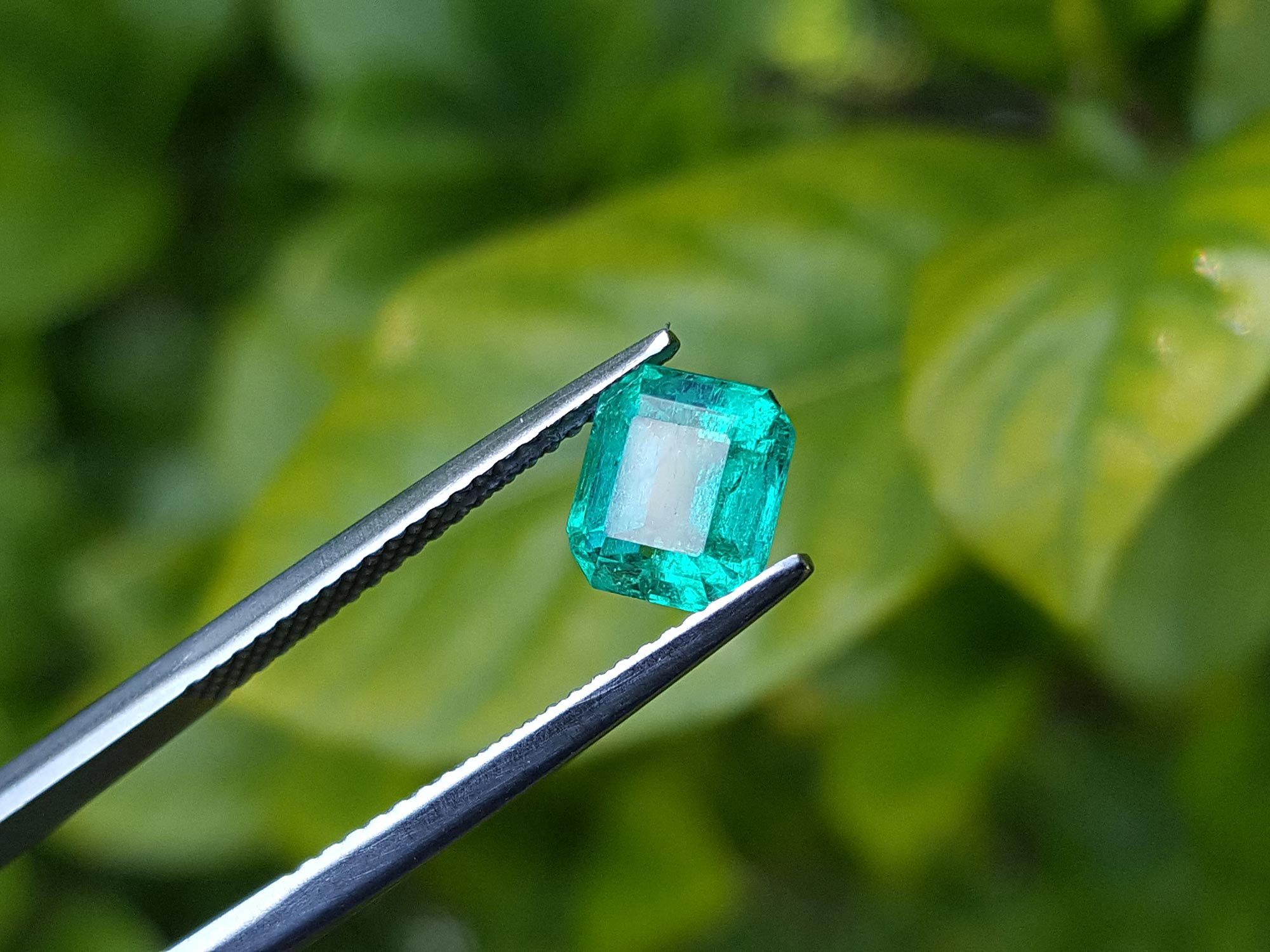 Loose emerald emerald-cut