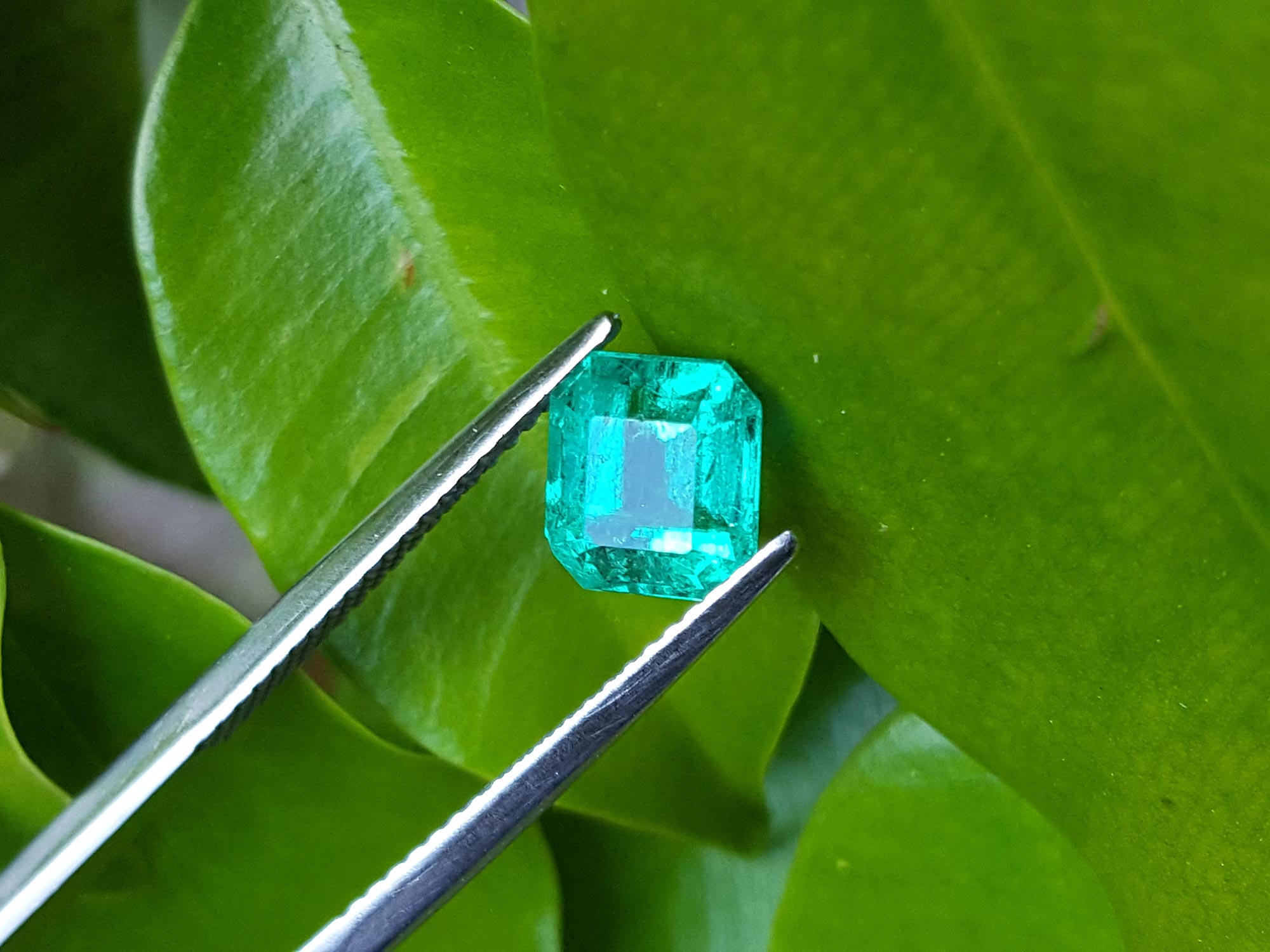 1.55 ct. Loose Emerald for Sale Muzo Colombian