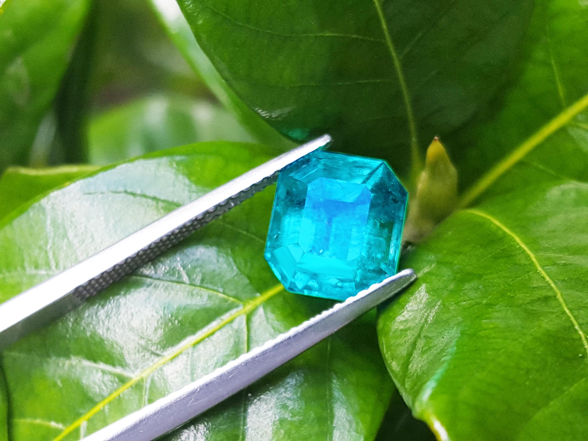 Genuine Colombian emerald