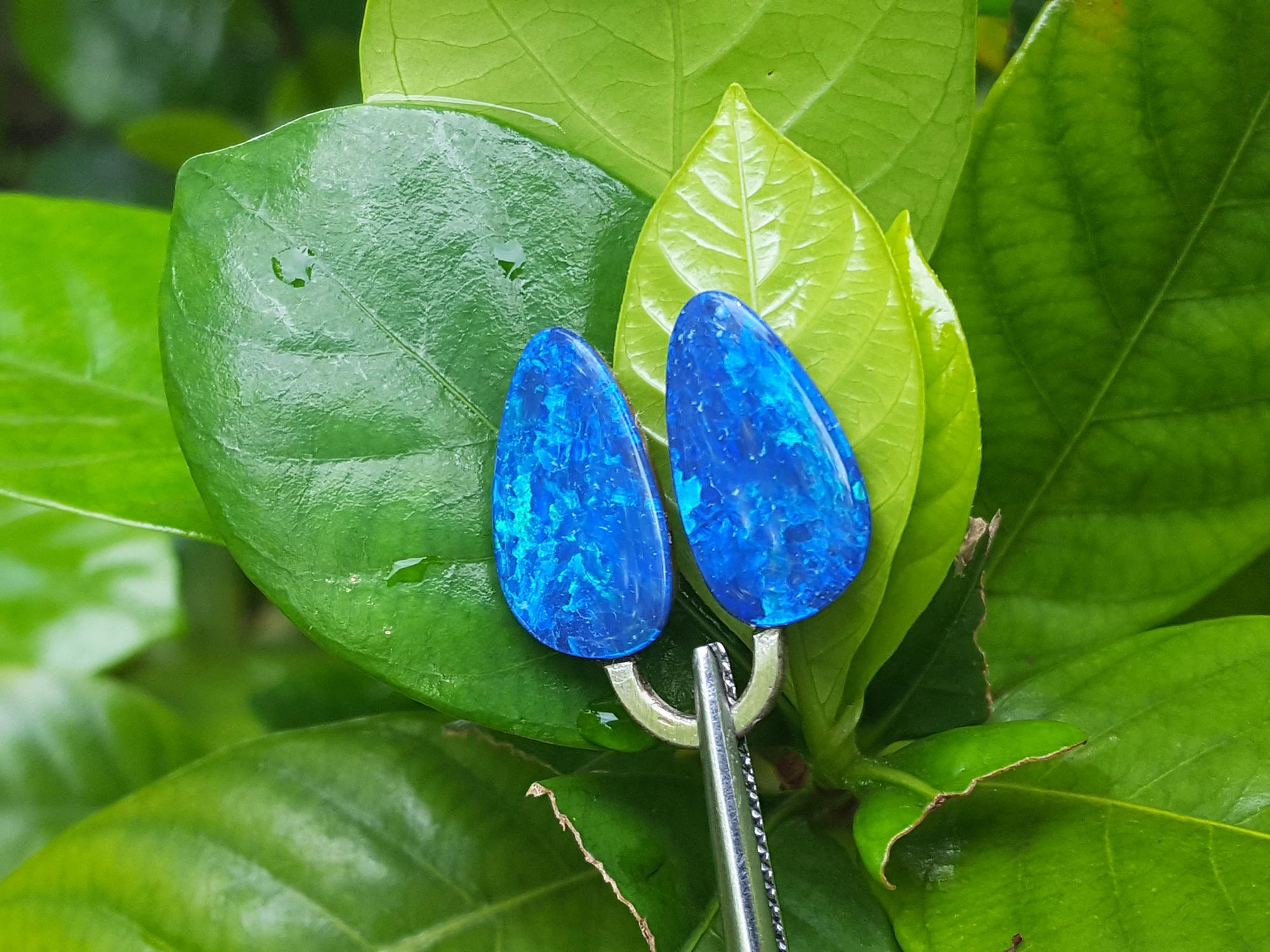 Earrings doublet opals