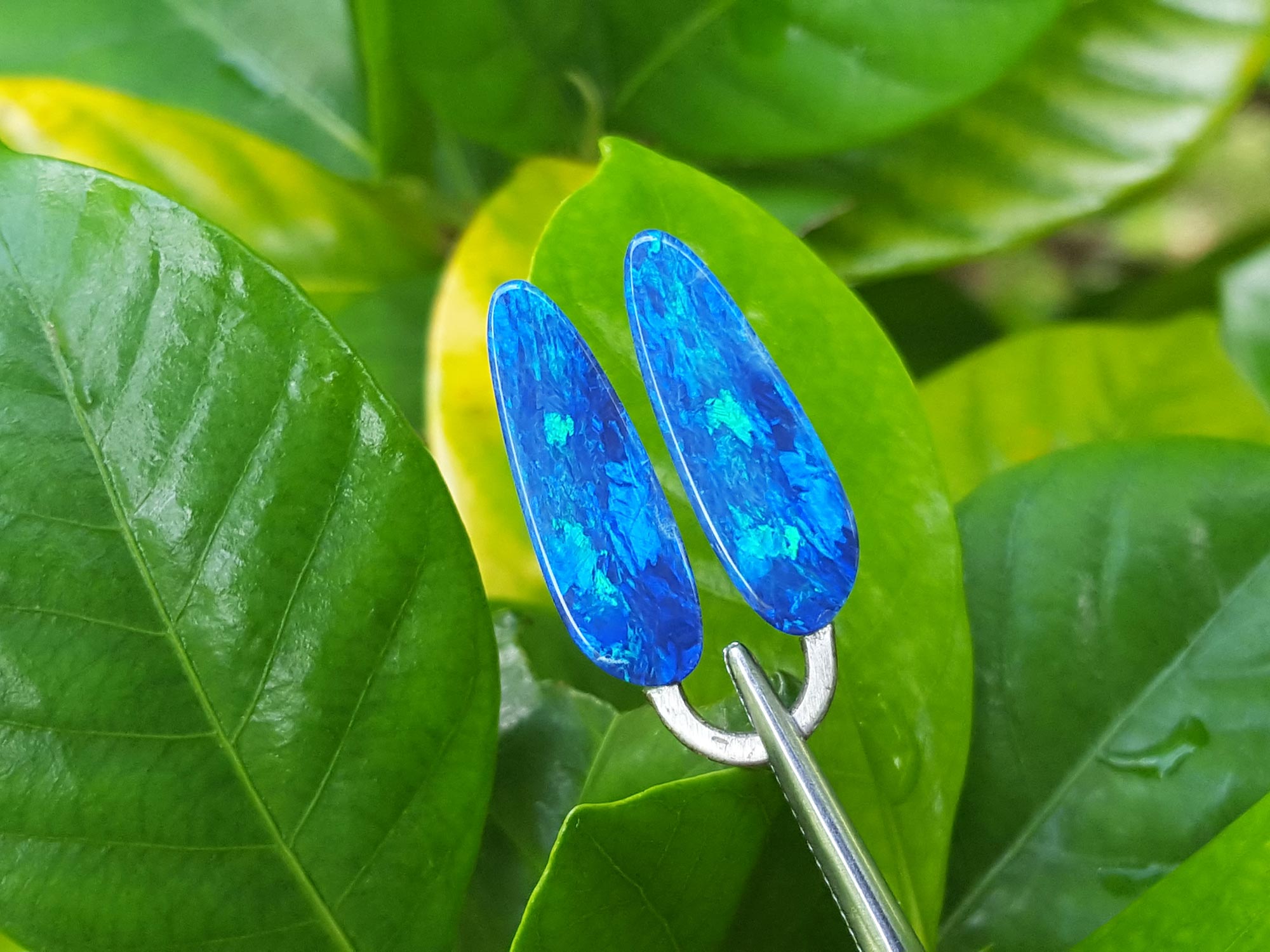 Loose doublet opals earrings