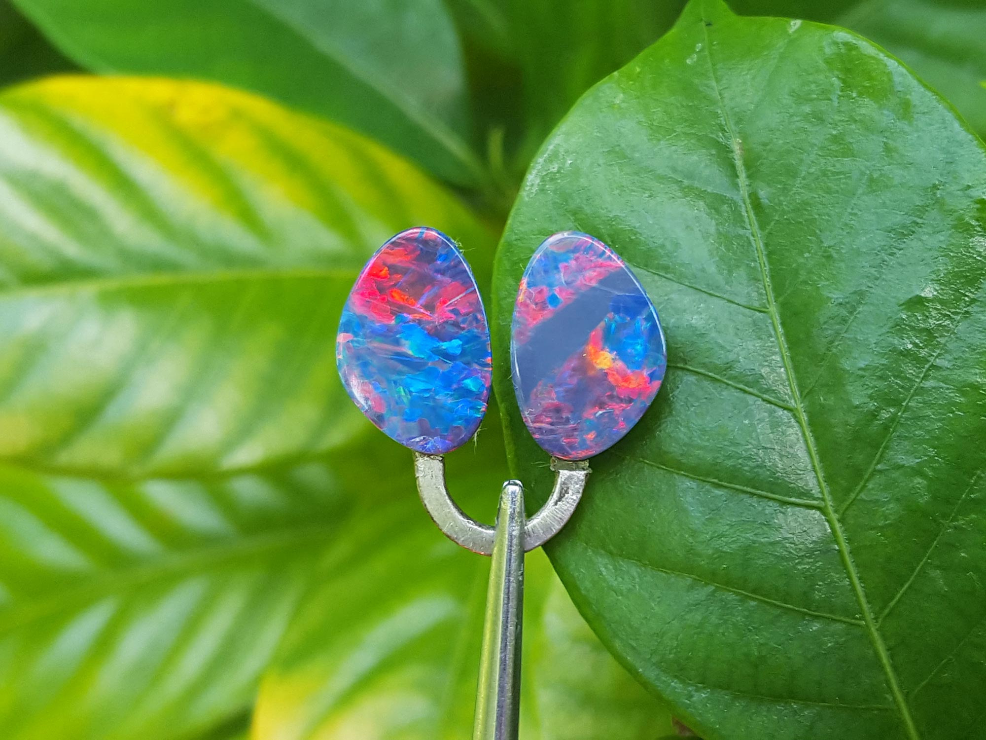 Doublet Opals for earrings