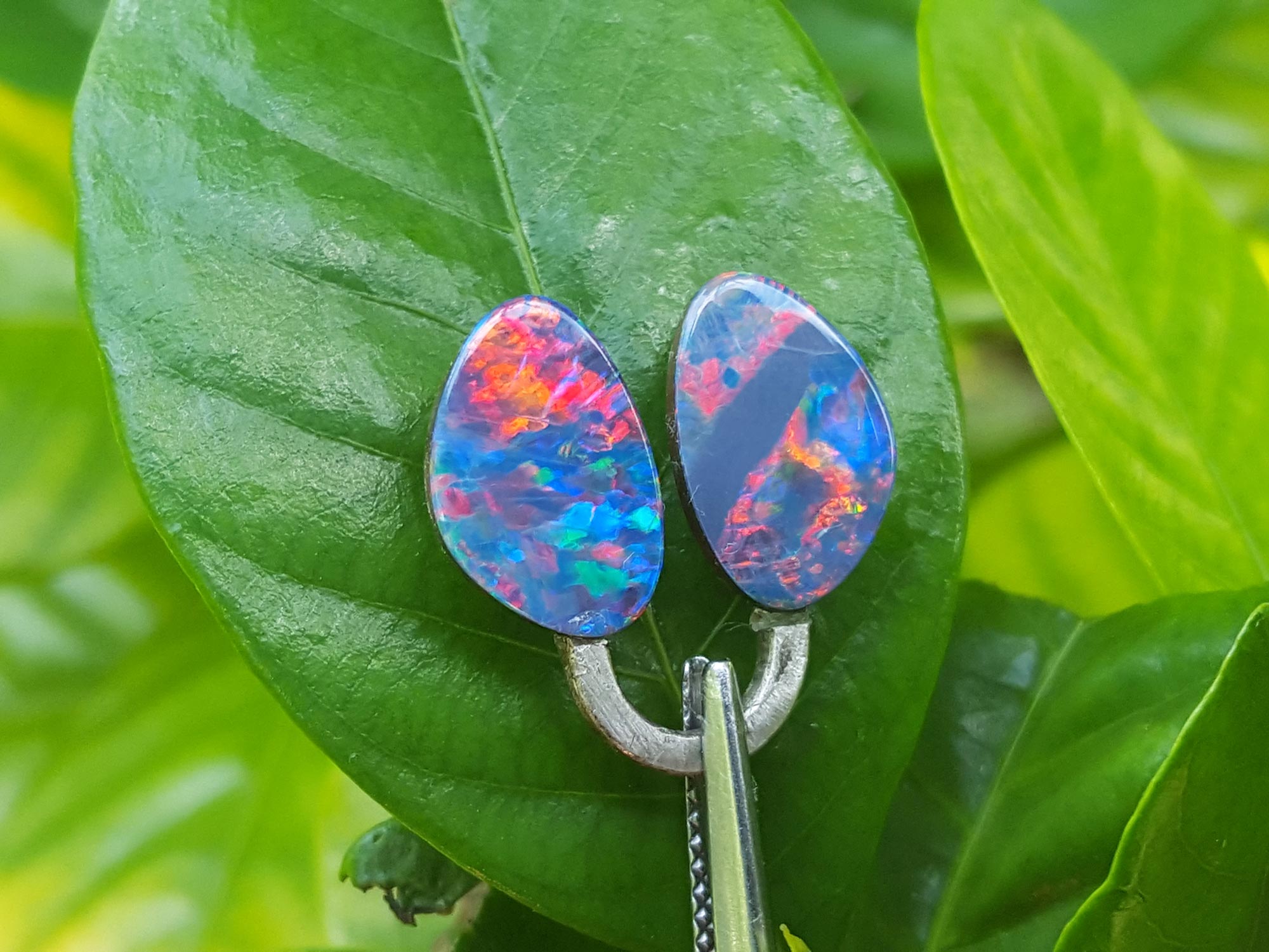 Loose doublet opals matching pair