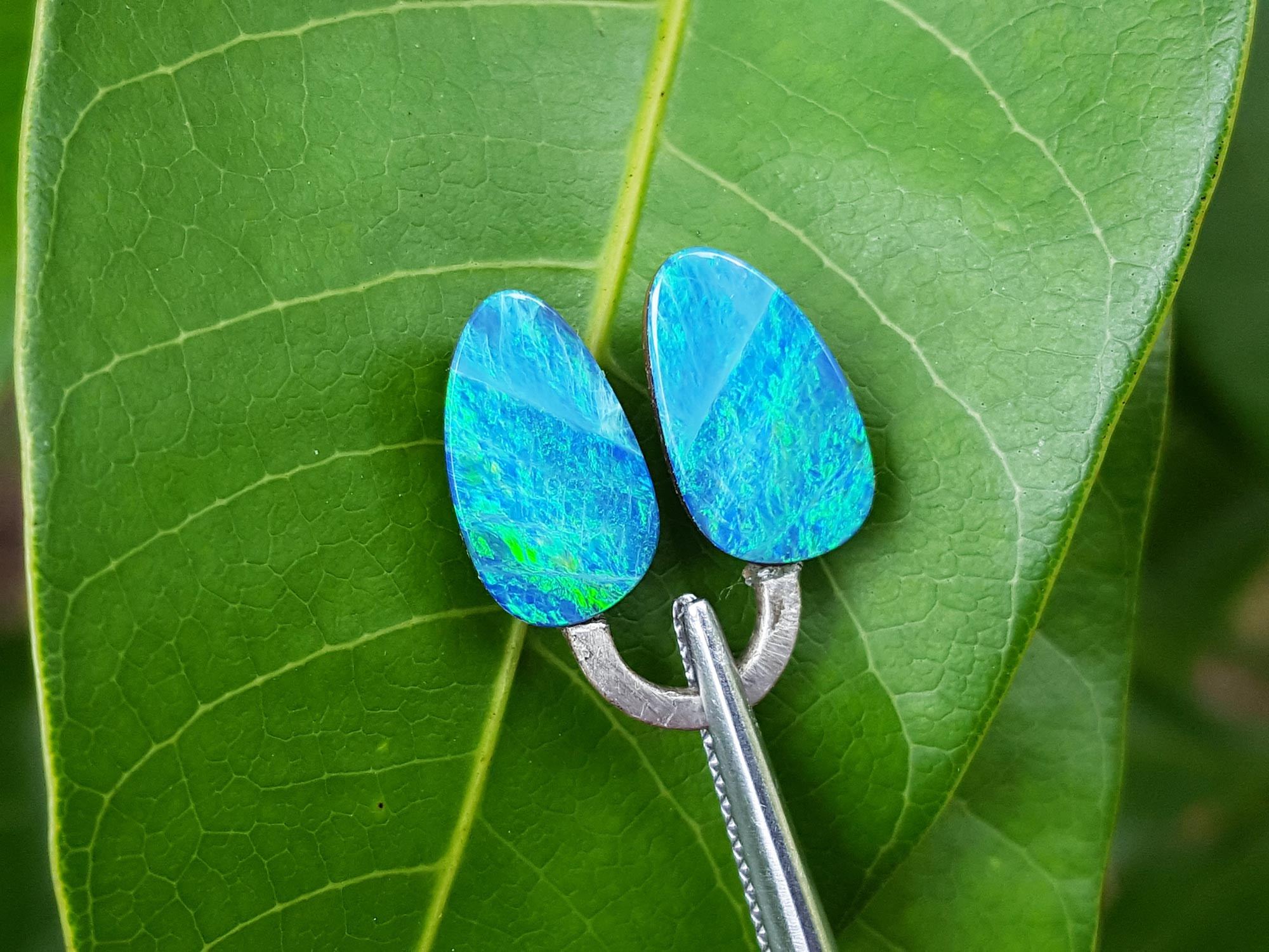 Matching pair of loose opals