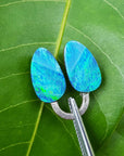 Matching pair of loose opals