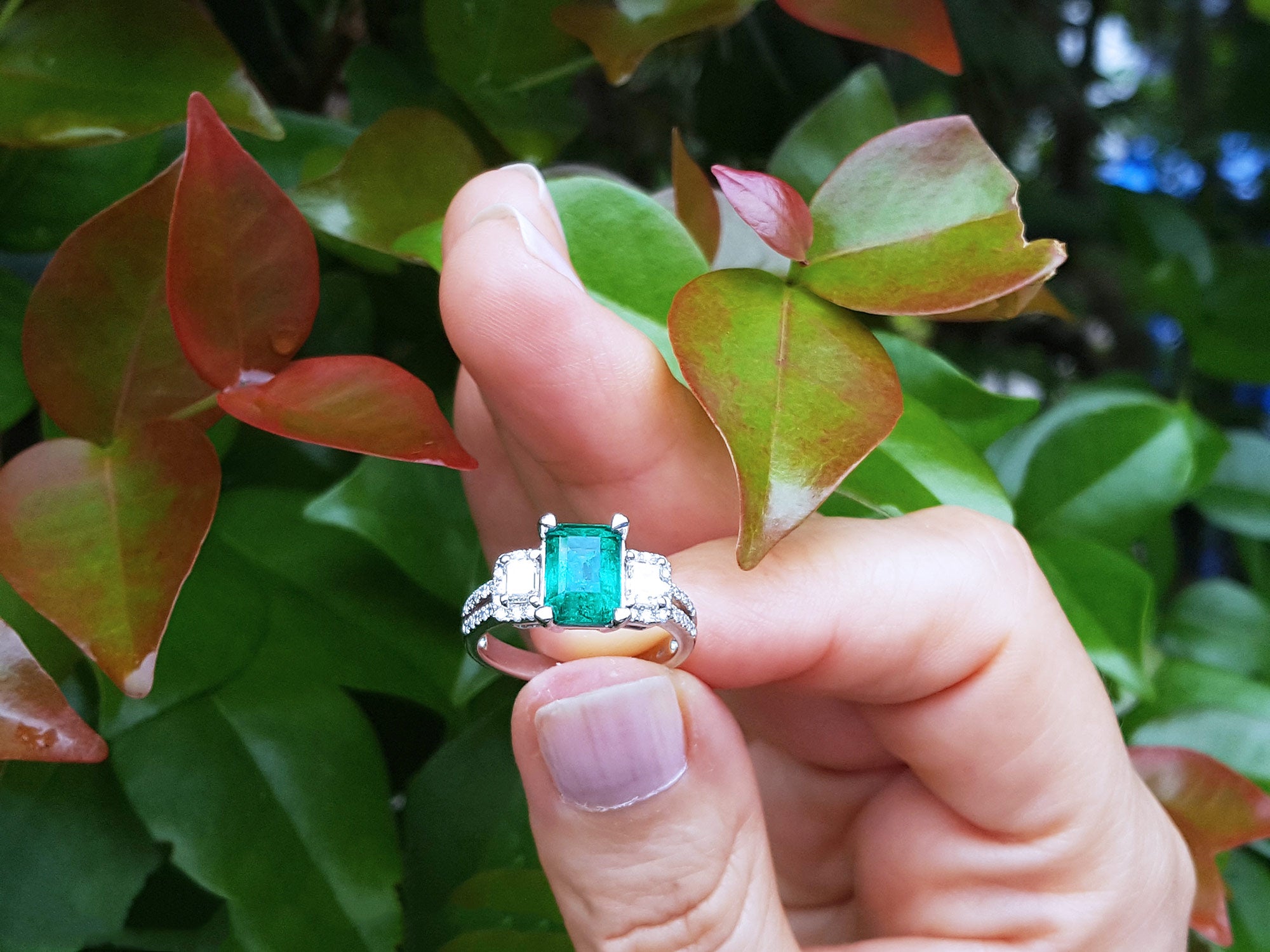 Emerald-cut emerald ring
