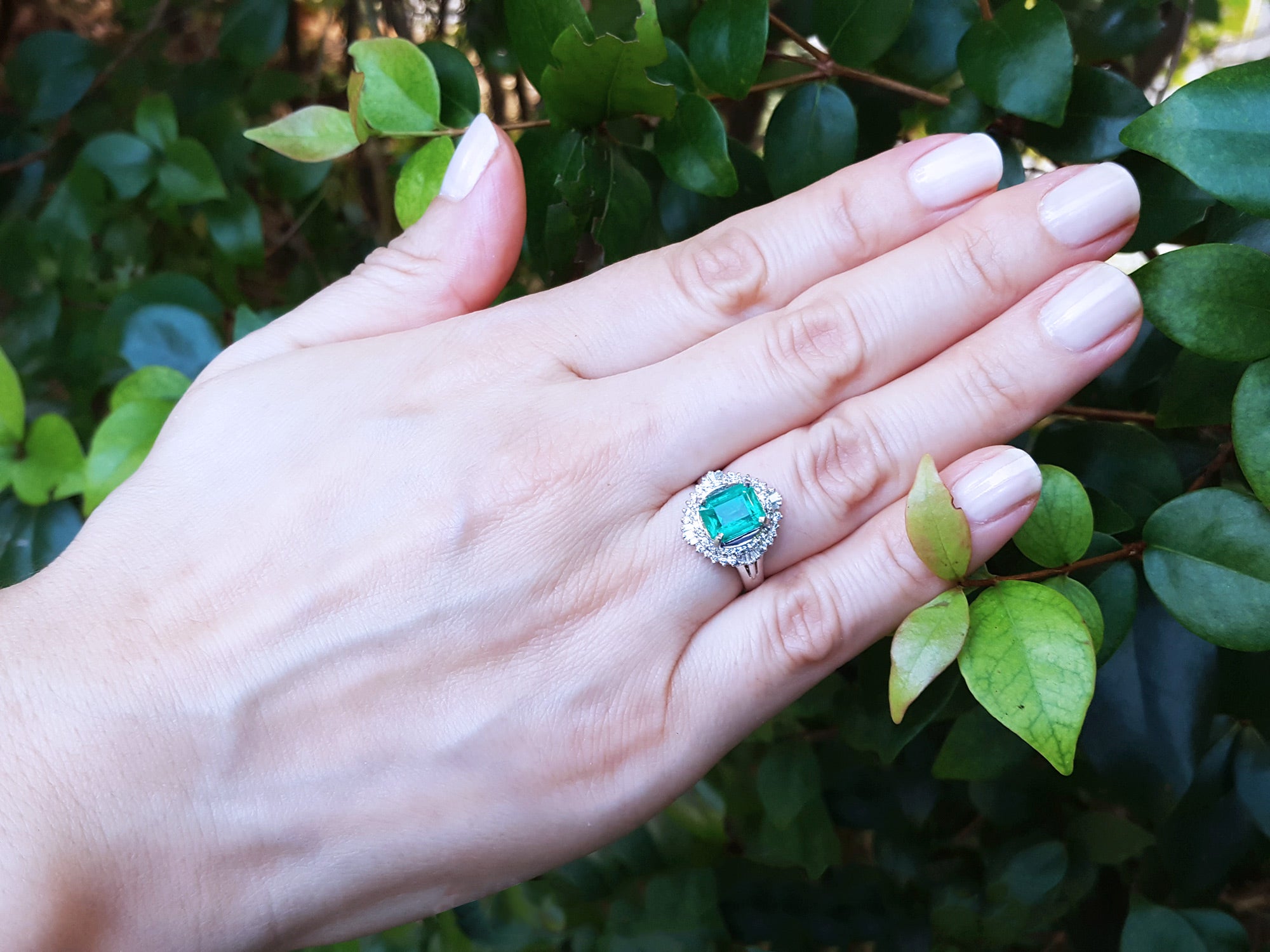 Muzo Colombian Platinum emerald ring for women