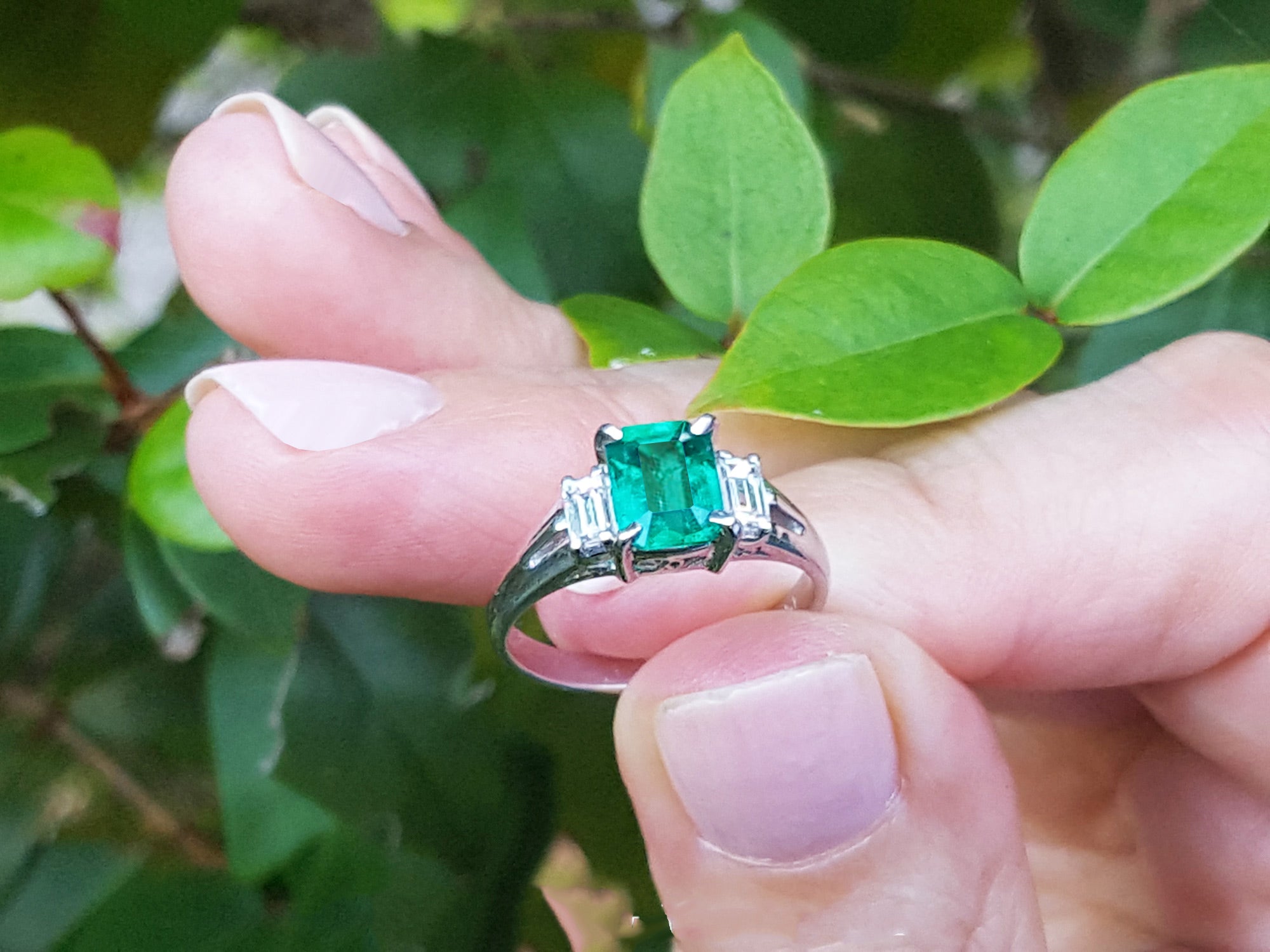 Natural emerald platinum ring
