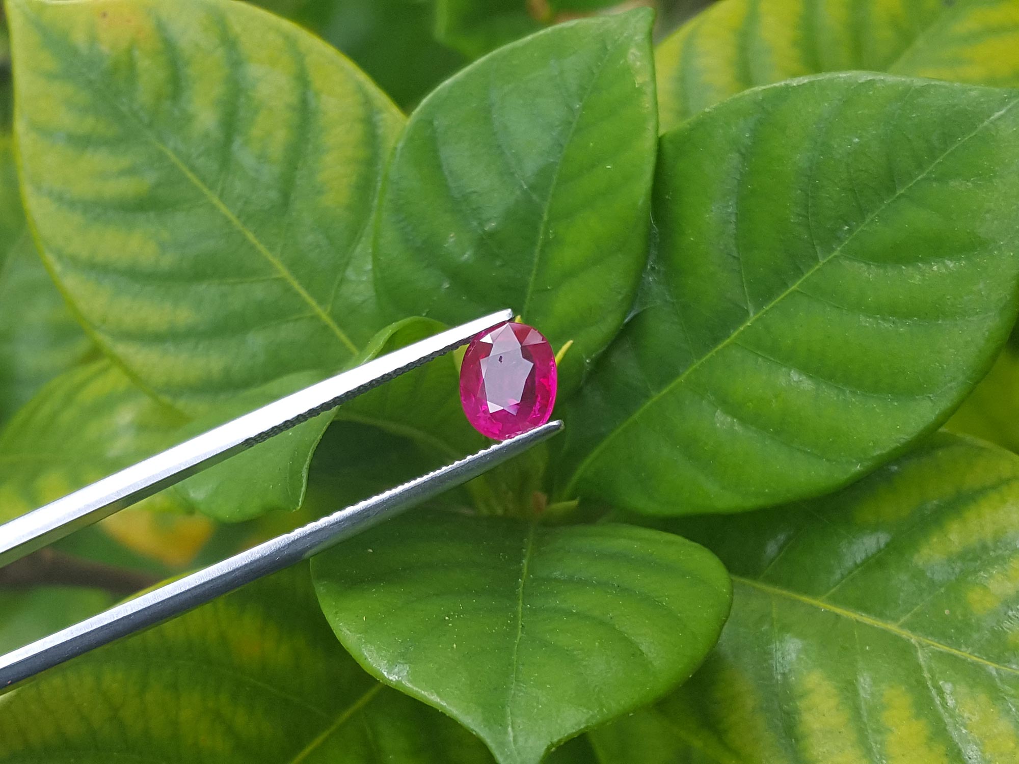 Natural loose ruby for sale