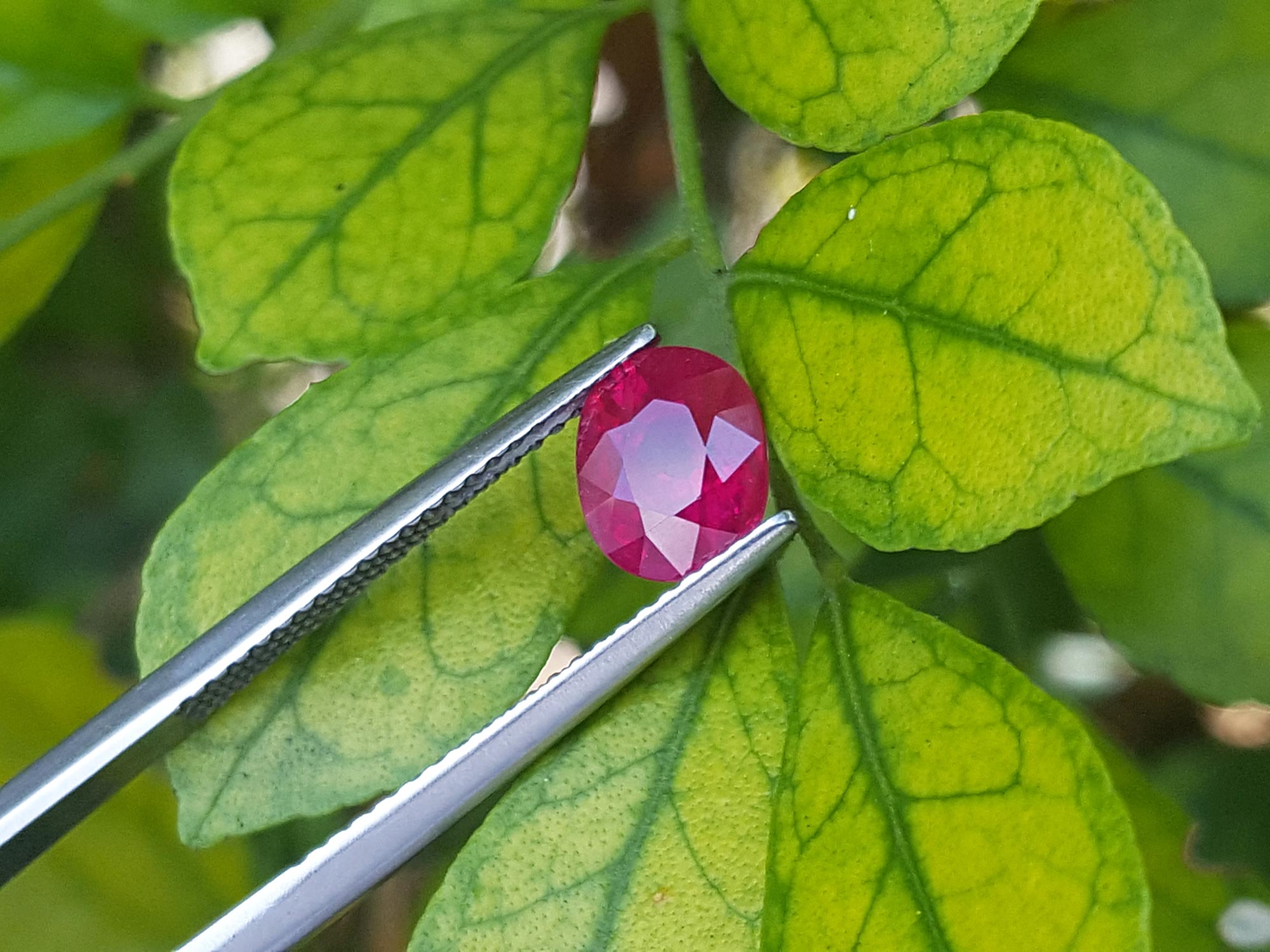 Sparkling red ruby