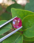 Oval cut ruby for sale