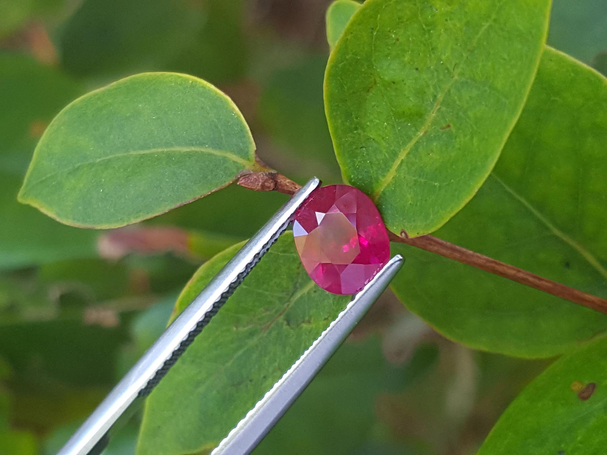 Natural oval cut ruby