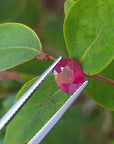 Natural oval cut ruby