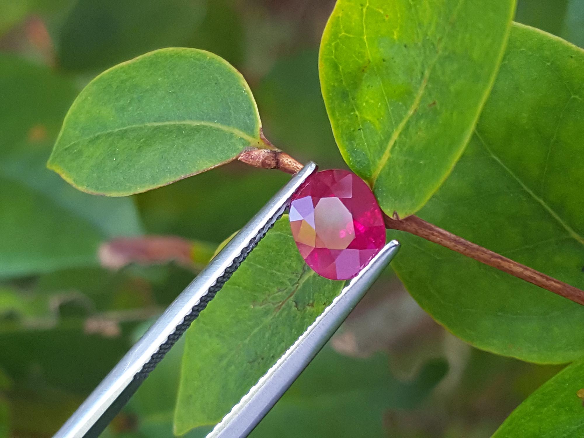 Oval shaped Burma ruby