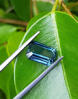 Sri Lanka born real sapphire for sale