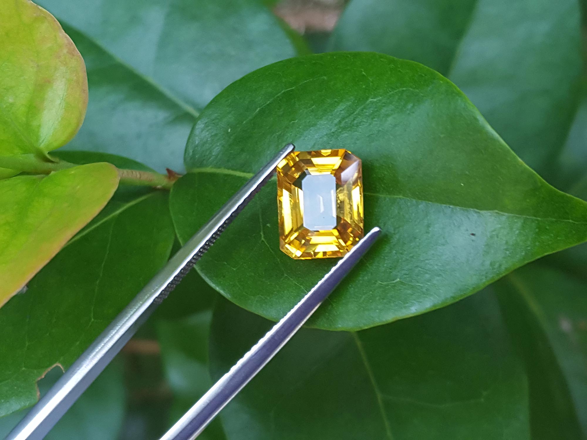 Authentic yellow sapphire