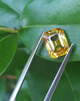 Square loose sapphire for sale