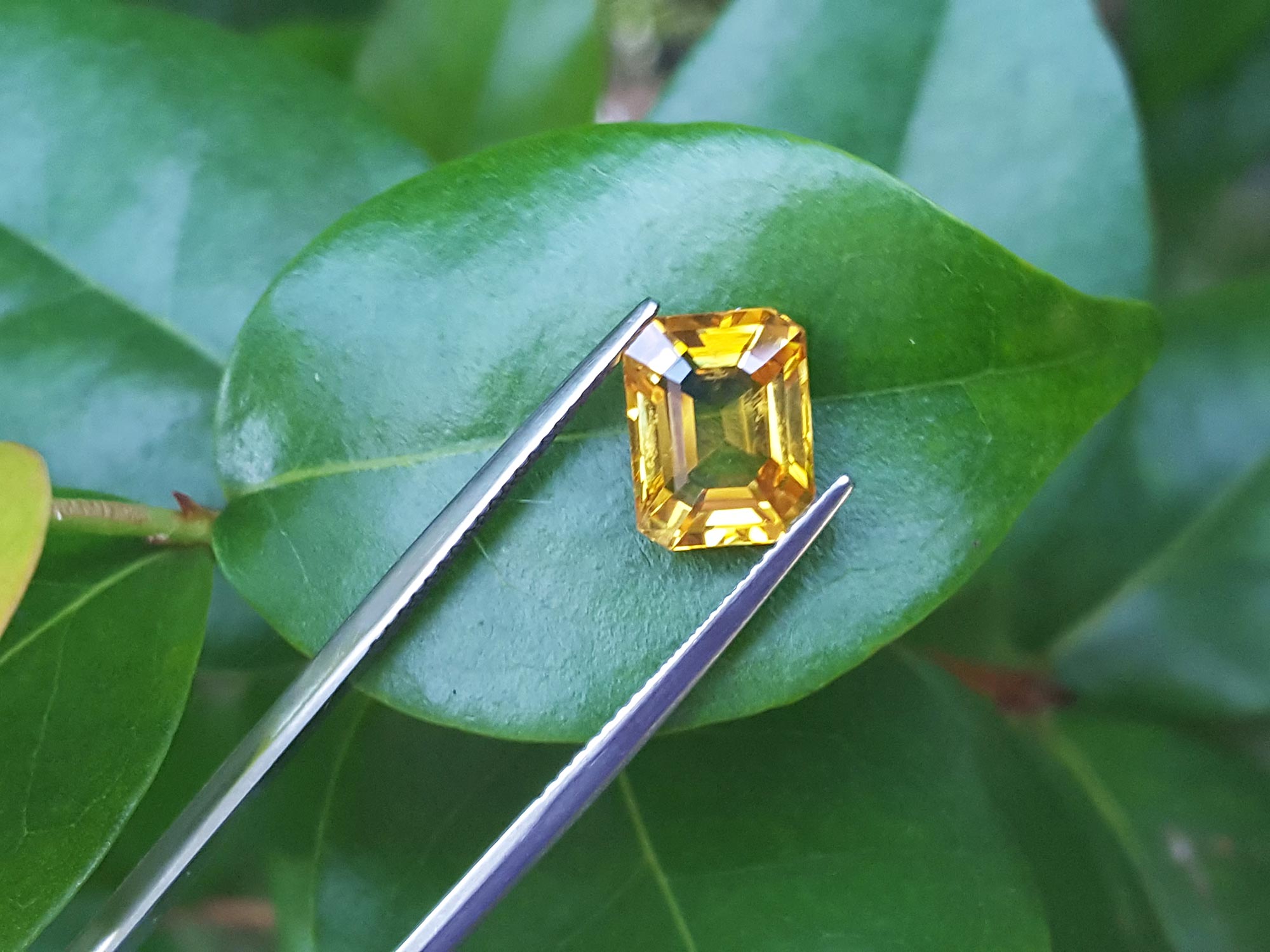 Intense yellow sapphire