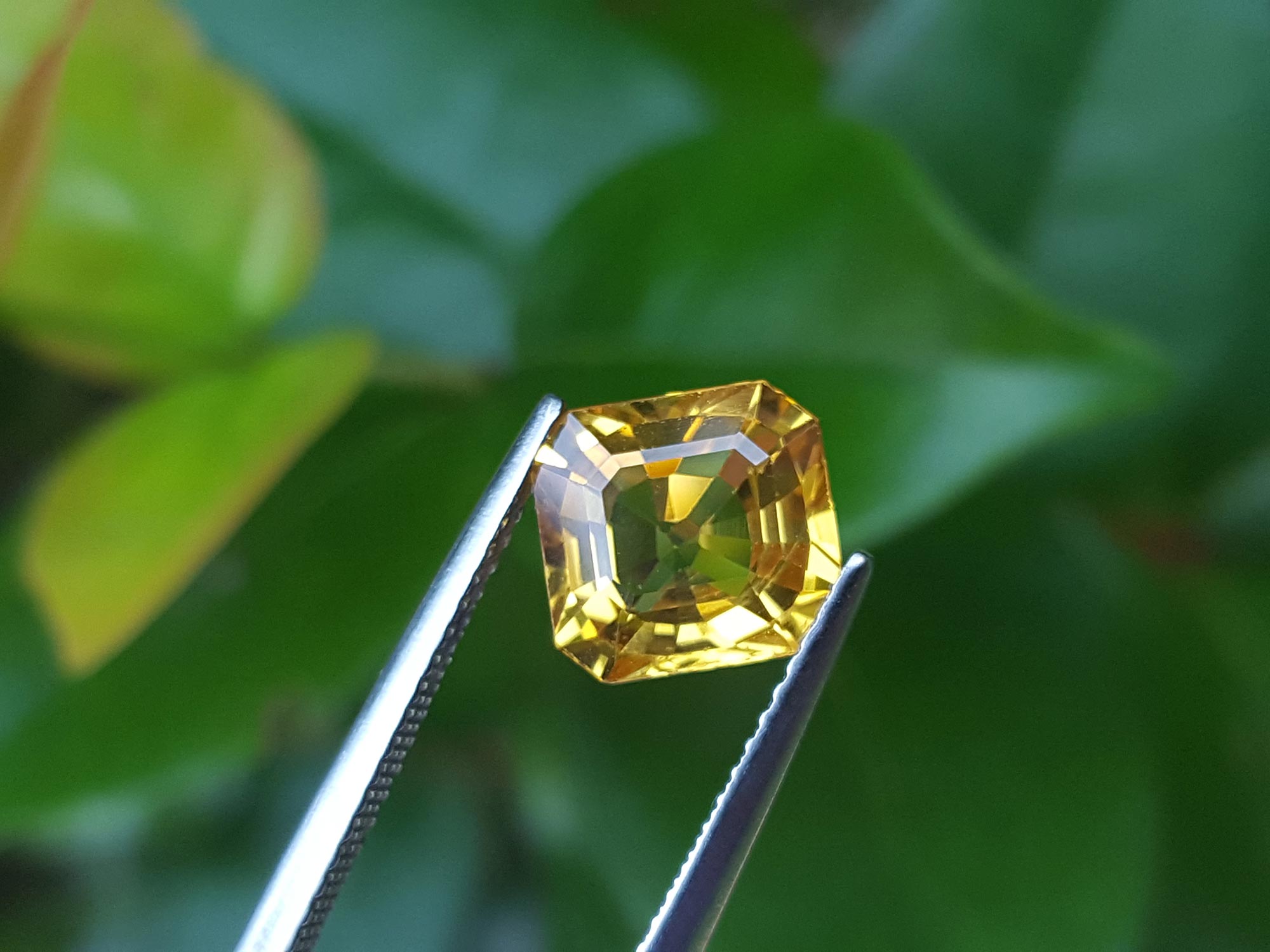 Square cut yellow sapphire