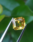 Square cut yellow sapphire