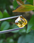 Intense yellow color sapphire