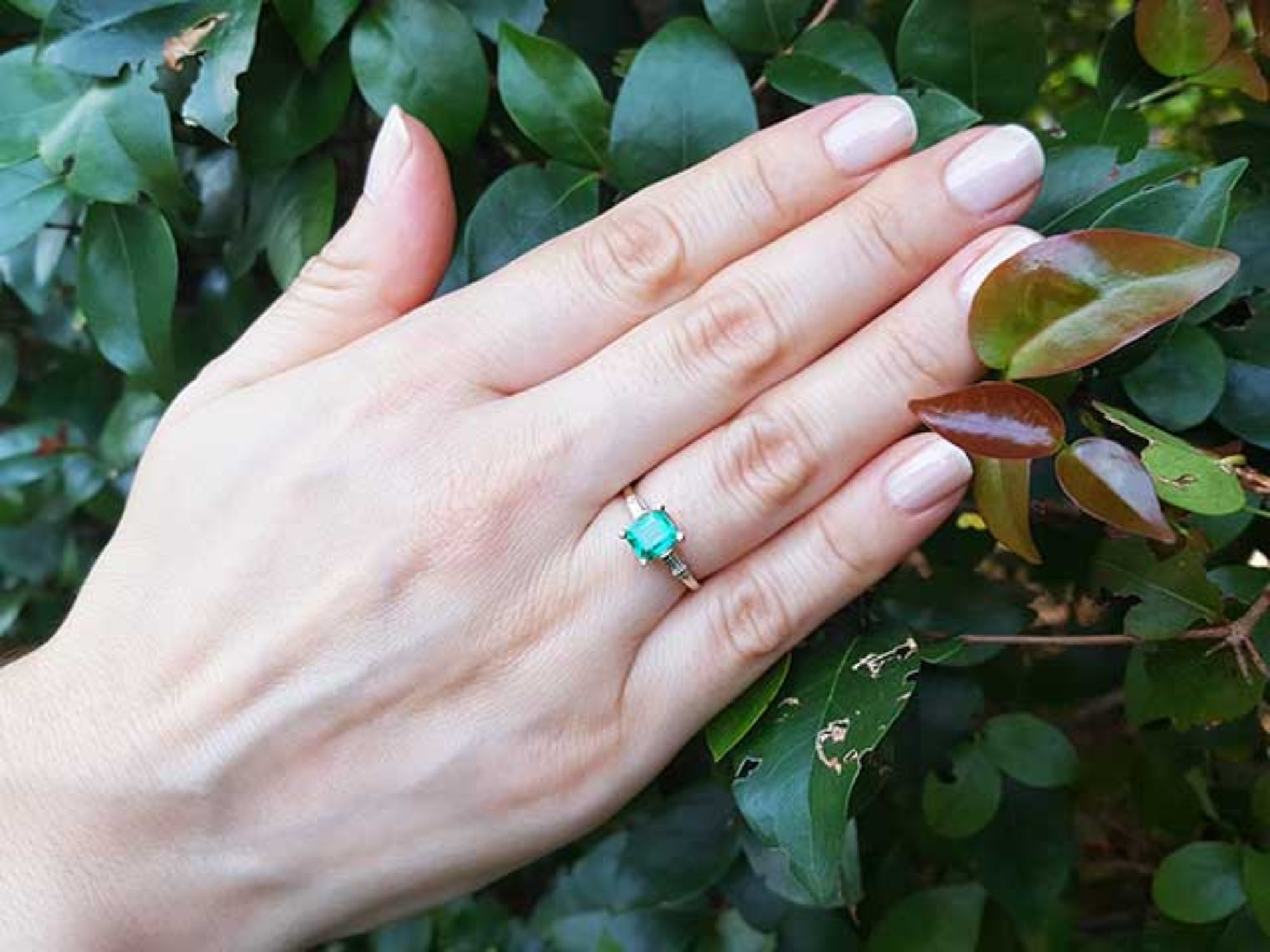 Hand wearing a yellow gold emerald ring against a leafy background.