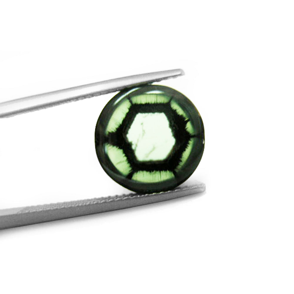 The trapiche colombian emerald with a crystal core, surrounded by black material and six dendrites, held by tweezers.