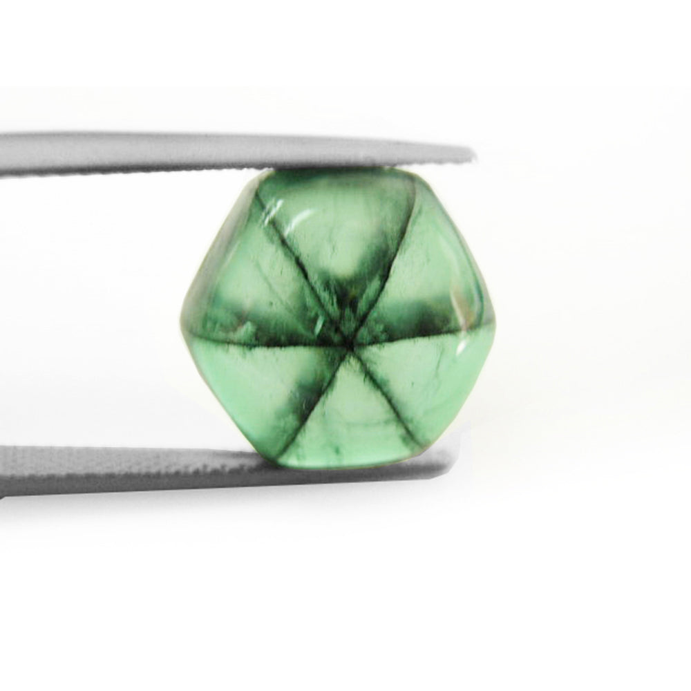 A trapiche colombian emerald with no core displaying six dendrites, held by tweezers.